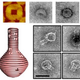 Illustration for article titled Scientists make a vase out of DNA